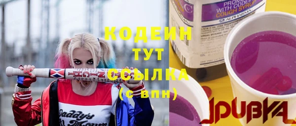 гашик Богданович