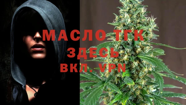 гашик Богданович