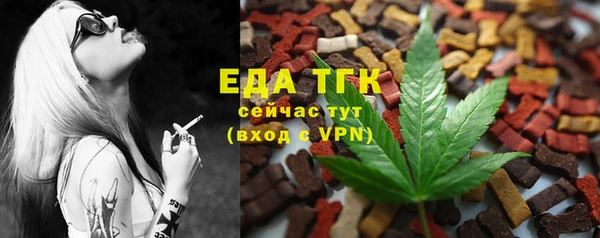 гашик Богданович