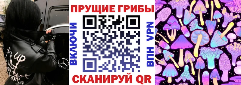 Псилоцибиновые грибы мицелий  Купить  Кремёнки 